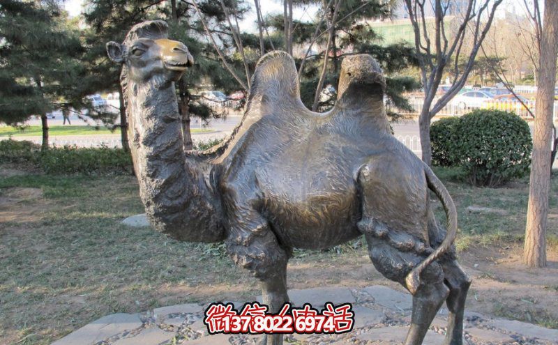 創(chuàng)意大型玻璃鋼駱駝雕塑，在草地上擺放，一眼回頭