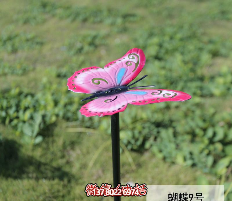 不銹鋼蝴蝶雕塑，創(chuàng)意裝點公園環(huán)境